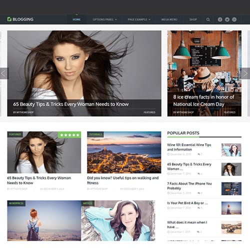 MyThemeShop-Blogging-WordPress-Theme.jpg MyThemeShop Blogging WordPress Theme