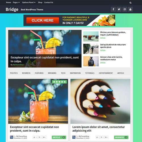 MyThemeShop-Bridge-WordPress-Theme.jpg MyThemeShop Bridge WordPress Theme