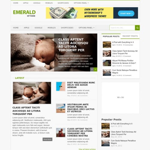 MyThemeShop-Emerald-WordPress-Theme.jpg MyThemeShop Emerald WordPress Theme