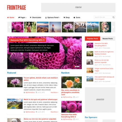 MyThemeShop-Frontpage-WordPress-Theme.jpg MyThemeShop Frontpage WordPress Theme