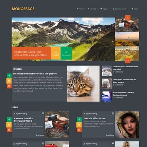 MyThemeShop-Monospace-WordPress-Theme.jpg MyThemeShop Monospace WordPress Theme