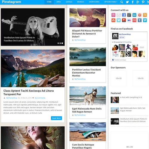 MyThemeShop-Pinstagram-WordPress-Theme.jpg MyThemeShop Pinstagram WordPress Theme