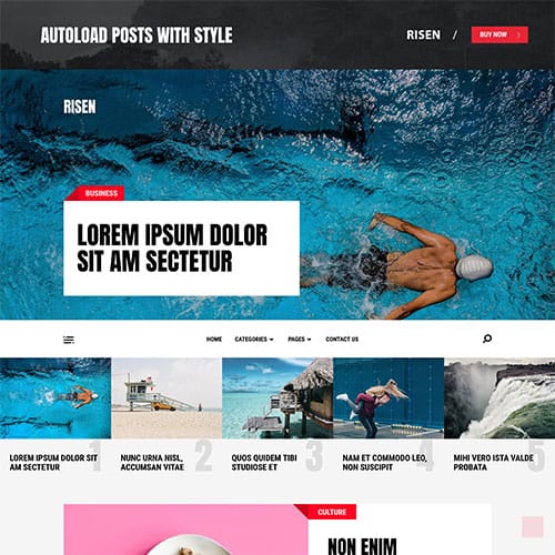 MyThemeShop-Risen-WordPress-Theme.jpg MyThemeShop Risen WordPress Theme