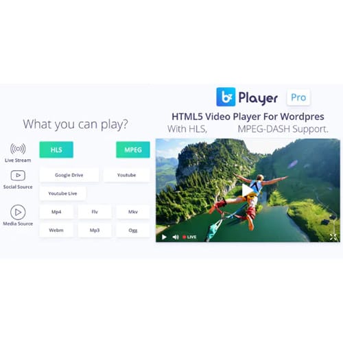 bzplayer-Pro-Live-Streaming-Player-WordPress-Plugin.jpg bzplayer Pro – Live Streaming Player WordPress Plugin