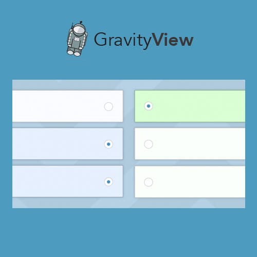 GravityView-Entry-Revisions.jpg GravityView – Entry Revisions
