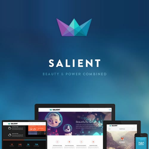 Salient-Responsive-Multi-Purpose-Theme.jpg Salient – Responsive Multi-Purpose Theme